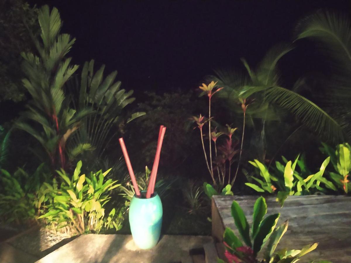 Villa F&B Bocas del Toro Exterior photo